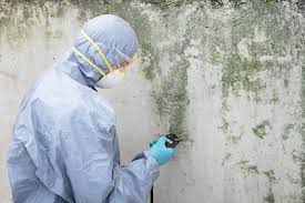 Best Real Estate Mold Inspection  in Sherwood, OR